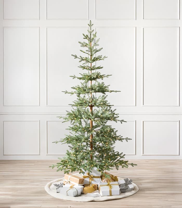 alpine-balsam-fir-trees.jpeg Alpine Balsam Fir Trees - Görsel 1