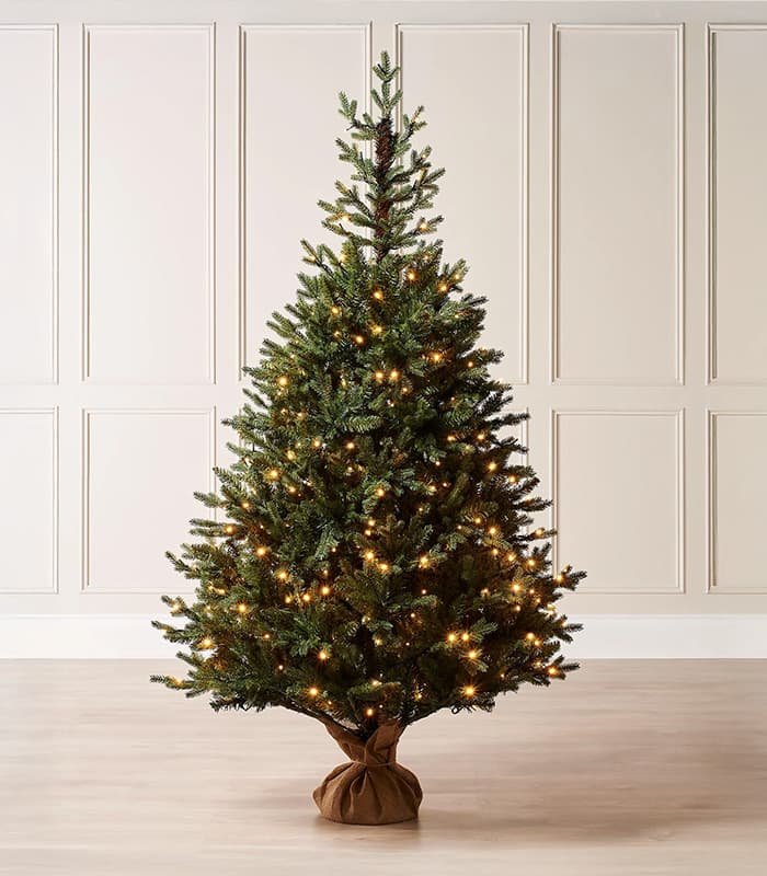 norway-christmas-tree.jpeg Norway Christmas Tree - Görsel 1